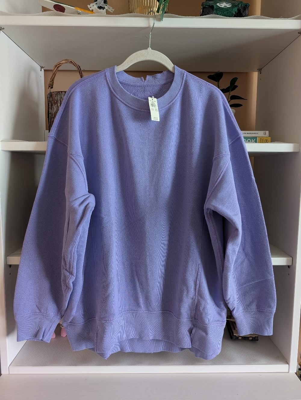 Aerie The Chill Crew Sweatshirt
